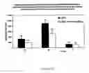 Fig. 22 - Lipid encapsulated interfering RNA