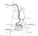 Fig. 08 - Devices and methods for treating the gastrointestinal system