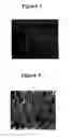Fig. 03 - Multifunctional and biologically active matrices from multicomponent polymeric solutions