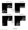 Fig. 09 - Multifunctional and biologically active matrices from multicomponent polymeric solutions