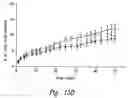 Fig. 17 - Anti-angiogenic compositions and methods of use
