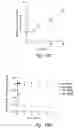 Fig. 27 - Anti-angiogenic compositions and methods of use