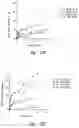 Fig. 29 - Anti-angiogenic compositions and methods of use