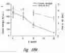 Fig. 30 - Anti-angiogenic compositions and methods of use