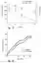 Fig. 60 - Anti-angiogenic compositions and methods of use