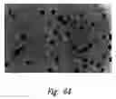 Fig. 75 - Anti-angiogenic compositions and methods of use