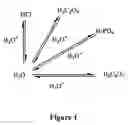 Fig. 02 - Pharmacologically active strong acid solutions