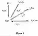 Fig. 02 - Pharmacologically active strong acid solutions