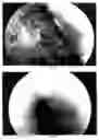 Fig. 03 - Pharmacologically active strong acid solutions