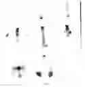 Fig. 06 - Pharmacologically active strong acid solutions