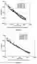 Fig. 04 - Asphalt surface treatment