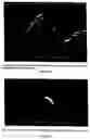 Fig. 14 - Asphalt surface treatment