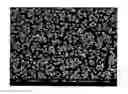 Fig. 01 - Method for producing carbon nanotubes at low temperature