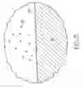 Fig. 03 - Methods for coating a magnesium component