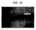 Fig. 09 - Pressure-sensitive adhesive tape or sheet, and method for producing it
