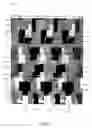Fig. 02 - Random installation carpet tiles