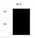 Fig. 09 - Nanocrystal coated surfaces