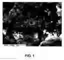 Fig. 02 - Aerogel/PTFE composite insulating material