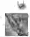 Fig. 05 - Titania nanosheet alignment thin film, process for producing the same and article including titania nanosheet alignment thin film