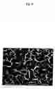 Fig. 10 - Titania nanosheet alignment thin film, process for producing the same and article including titania nanosheet alignment thin film