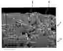 Fig. 01 - Electrode for fuel cell and solid oxide fuel cell using the same