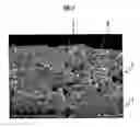 Fig. 02 - Electrode for fuel cell and solid oxide fuel cell using the same