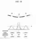 Fig. 11 - Exposure method, mask, semiconductor device manufacturing method, and semiconductor device