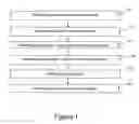 Fig. 02 - System for organizing dental aligners