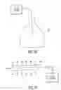 Fig. 31 - Method and device for improving oral health