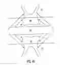 Fig. 34 - Method and device for improving oral health