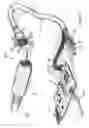 Fig. 09 - Surgical device, in particular a dental device, comprising an instrument and a servo-control module
