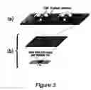Fig. 04 - High-density cell array board, process for producing the same and method of using the same