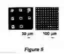 Fig. 06 - High-density cell array board, process for producing the same and method of using the same