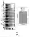 Fig. 06 - Method for assaying replication of hbv and testing ... drugs