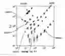 Fig. 01 - Multiplex microparticle system