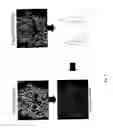 Fig. 09 - Multianalyte molecular analysis using application-specific random particle arrays