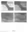 Fig. 30 - Multianalyte molecular analysis using application-specific random particle arrays