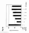 Fig. 19 - Agent controlling the apoptosis induction by p73