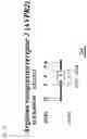 Fig. 48 - Method of detecting gene polymorphism