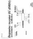 Fig. 50 - Method of detecting gene polymorphism