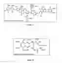 Fig. 02 - Isolation and cloning of DNA from uncultivated organisms