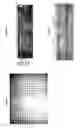 Fig. 07 - Isolation and cloning of DNA from uncultivated organisms