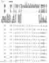 Fig. 30 - Gene expression in biological conditions
