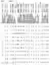 Fig. 33 - Gene expression in biological conditions