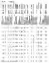 Fig. 40 - Gene expression in biological conditions