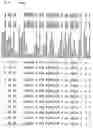 Fig. 52 - Gene expression in biological conditions