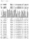 Fig. 53 - Gene expression in biological conditions