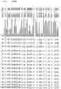 Fig. 58 - Gene expression in biological conditions