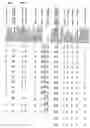 Fig. 70 - Gene expression in biological conditions