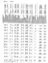 Fig. 74 - Gene expression in biological conditions
